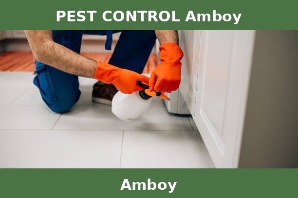 PEST CONTROL Amboy